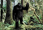 Bigfoot – A Beast On The Run